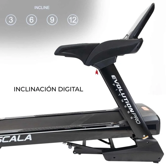 BANDA TROTADORA SCALA - Imagen 5