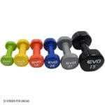 MANCUERNA DE VINILO 10 LB