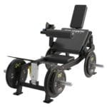 Elevación Pélvica - S18