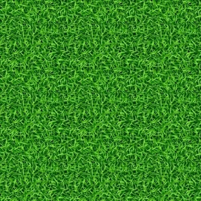 Evo Soccer - Imagen 8