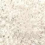 Evo Soccer - Imagen 7