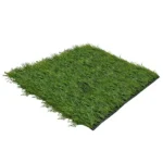 Evo Soccer - Imagen 3