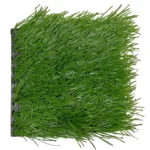 Evo Soccer - Imagen 6