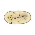 Parque Infantil Aventuras En Altura - Imagen 4