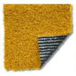 Evo Summer 25 Color - Imagen 2