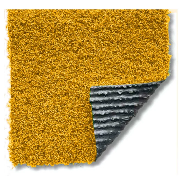 Evo Summer 25 Color - Imagen 2