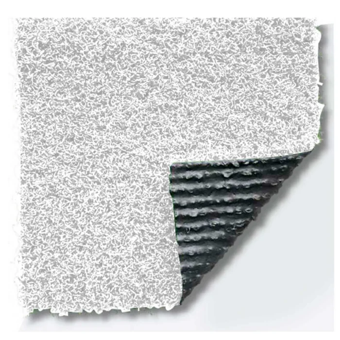 Evo Summer 25 Color - Imagen 4