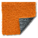 Evo Summer 25 Color - Imagen 5