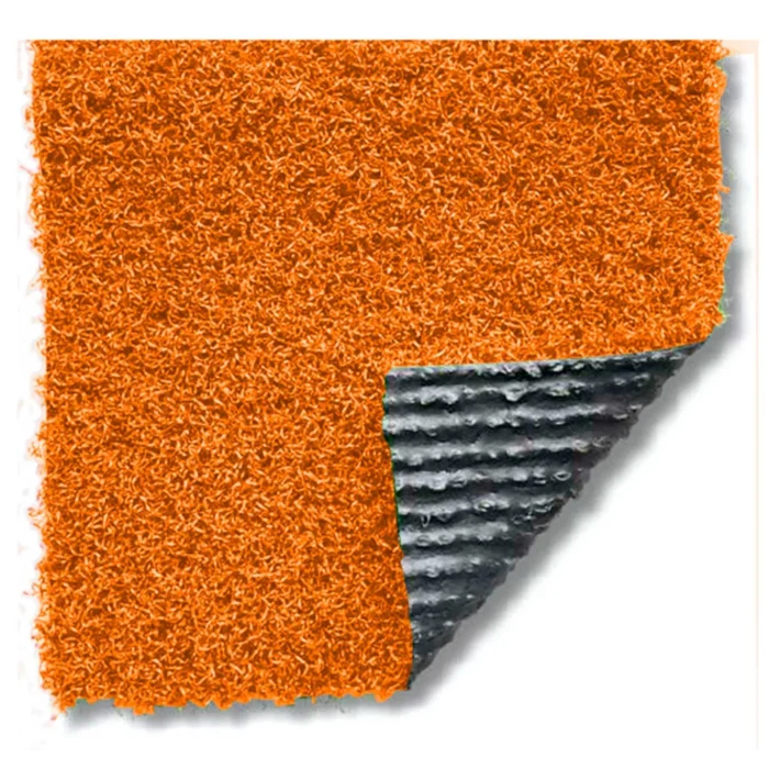 Evo Summer 25 Color - Imagen 5