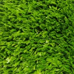 Grama New Deluxe 750Gr