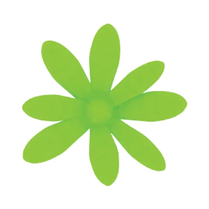 Palmera Acuática - Imagen 3